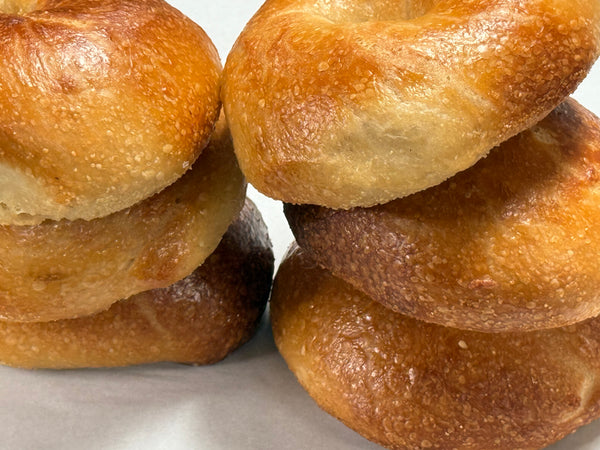 Bagel Theory gallery