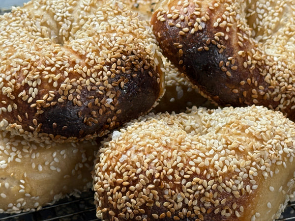 Bagel Theory gallery