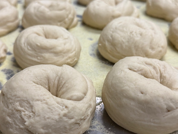 Bagel Theory gallery