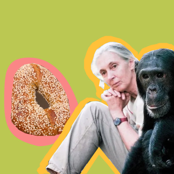 Bagel Theory gallery